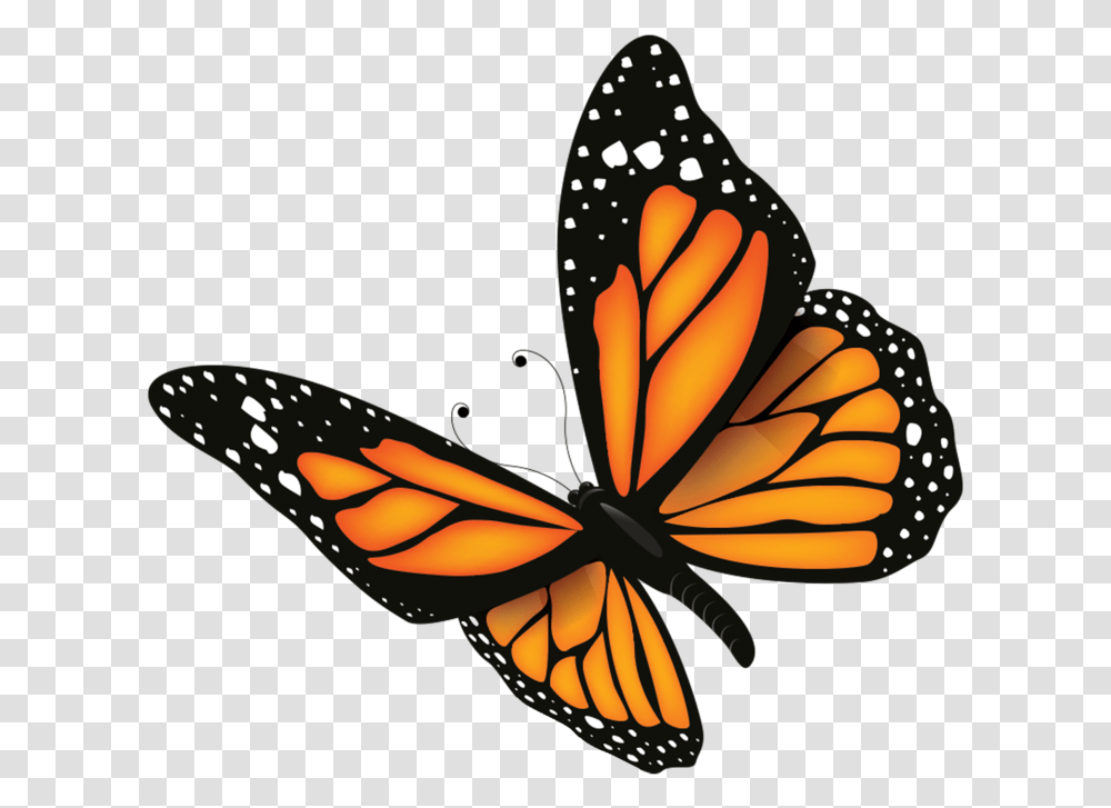 Butterfly Maraton Monarch Ultra 2019 Acambaro, Insect, Invertebrate, Animal, Lamp Transparent Png