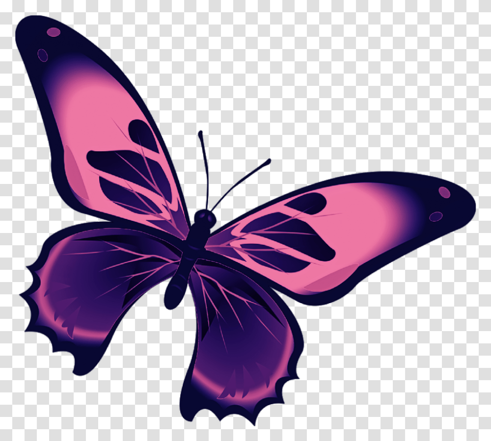 Butterfly Mariposa Diurna Day Diurnal Spring Kupu Kupu Hitam Putih, Plant, Insect Transparent Png