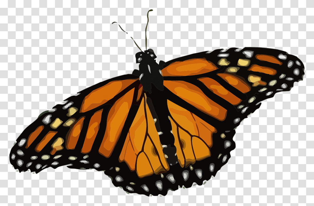 Butterfly Monarch Butterfly Danaus Plexippus Monarch Butterfly, Insect, Invertebrate, Animal Transparent Png