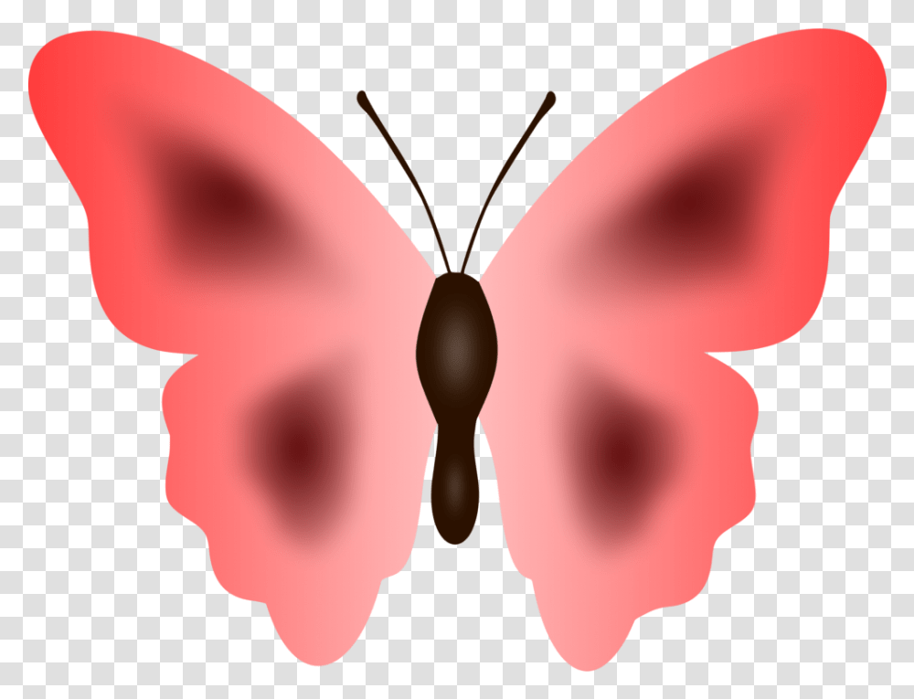 Butterfly Moth Cartoon Pink Clip Art Download Full Big Colour Butterfly, Invertebrate, Animal, Insect, Balloon Transparent Png