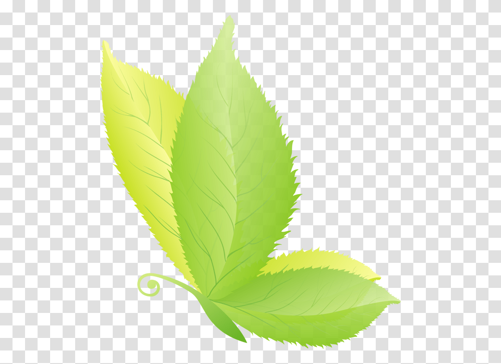 Butterfly On A Leaf Illustration, Plant, Green, Sunlight, Veins Transparent Png