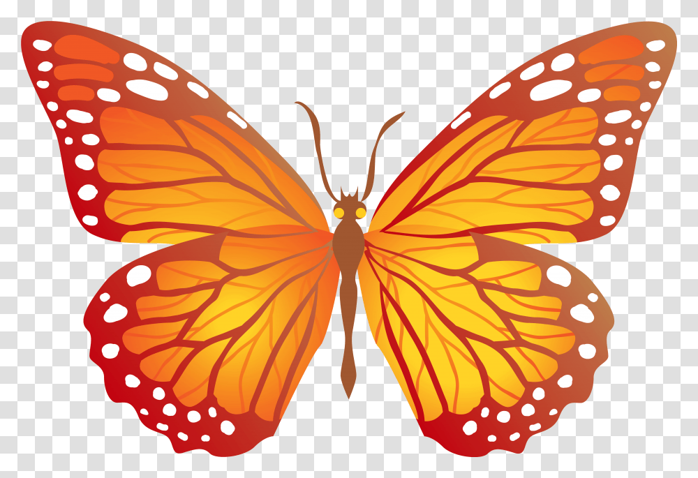 Butterfly Orange Butterfly Clipart, Insect, Invertebrate, Animal, Monarch Transparent Png