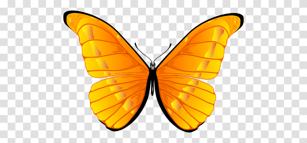 Butterfly Orange Butterfly, Insect, Invertebrate, Animal, Pattern Transparent Png