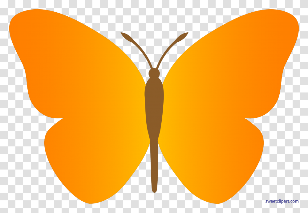 Butterfly Orange Clip Art, Balloon, Pattern, Animal, Insect Transparent Png