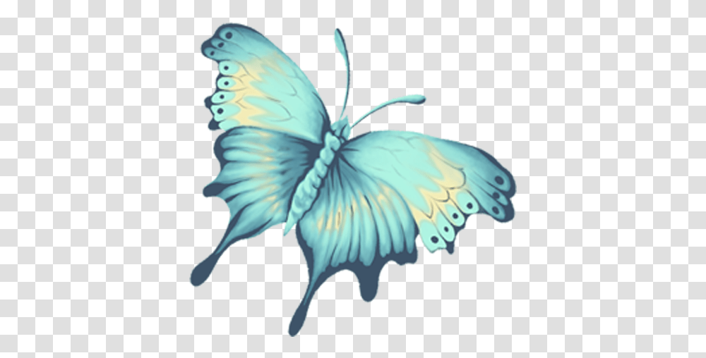Butterfly, Ornament, Pattern, Animal Transparent Png