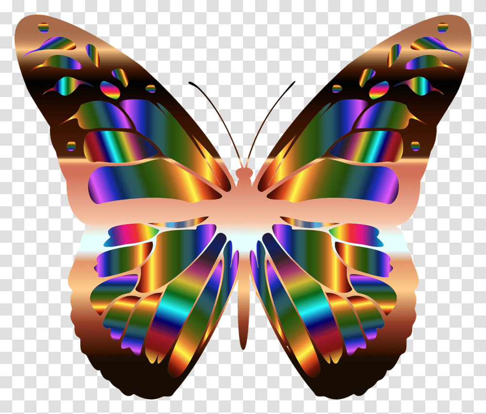 Butterfly, Ornament, Pattern Transparent Png