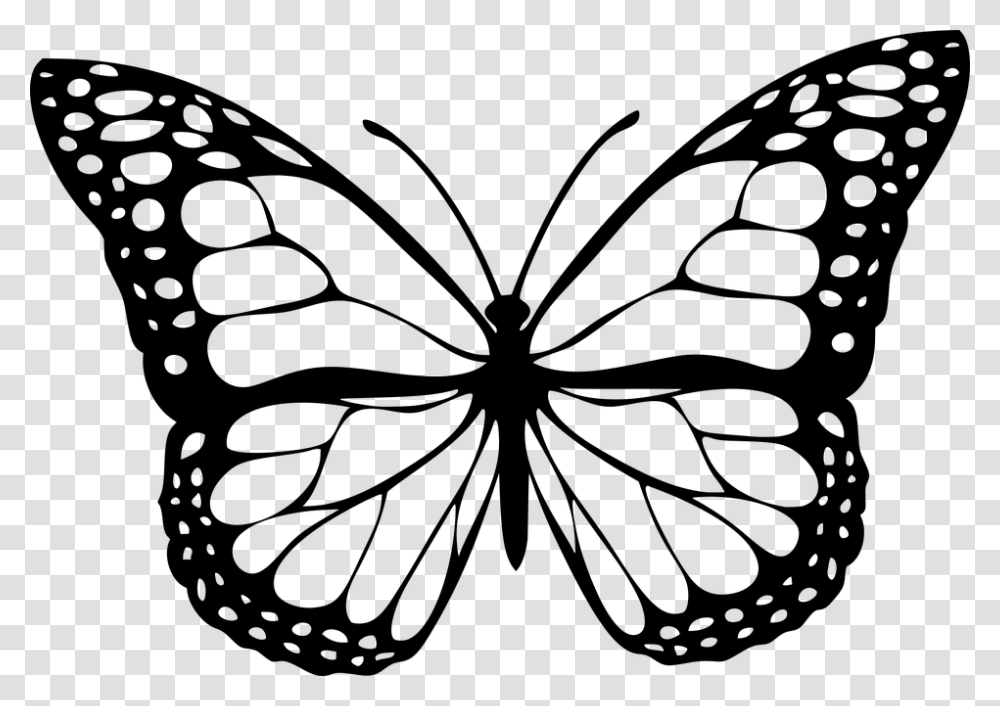 Butterfly Outline Black And White Butterfly, Gray, World Of Warcraft Transparent Png