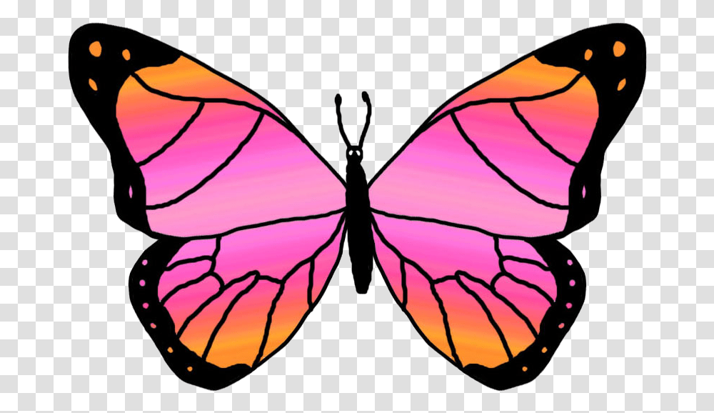 Butterfly Outline Free Clipart Images Pink And Orange Butterfly, Insect, Invertebrate, Animal, Pattern Transparent Png