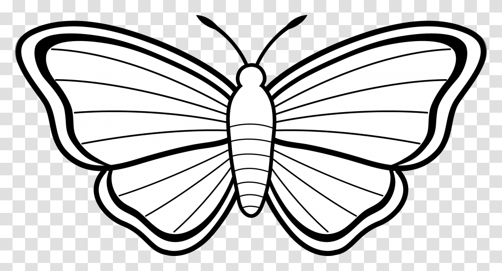Butterfly Outlines Clipart, Animal, Invertebrate, Clam, Seashell Transparent Png