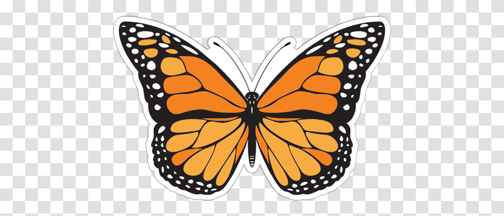 Butterfly Patch Different Colours Of Butterfly, Insect, Invertebrate, Animal, Monarch Transparent Png