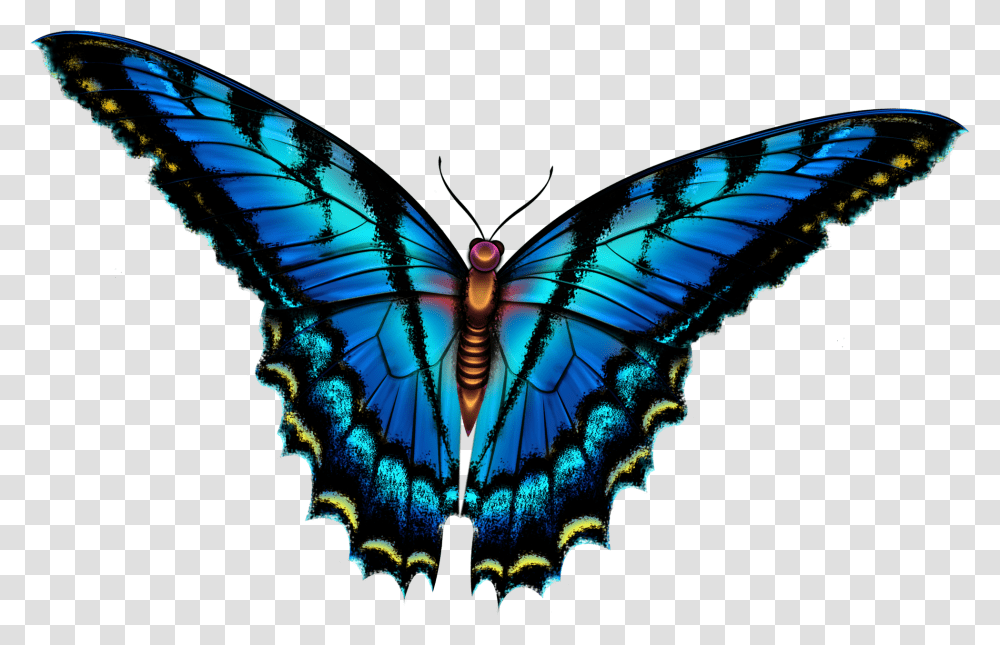 Butterfly, Pattern, Ornament, Fractal, Toy Transparent Png