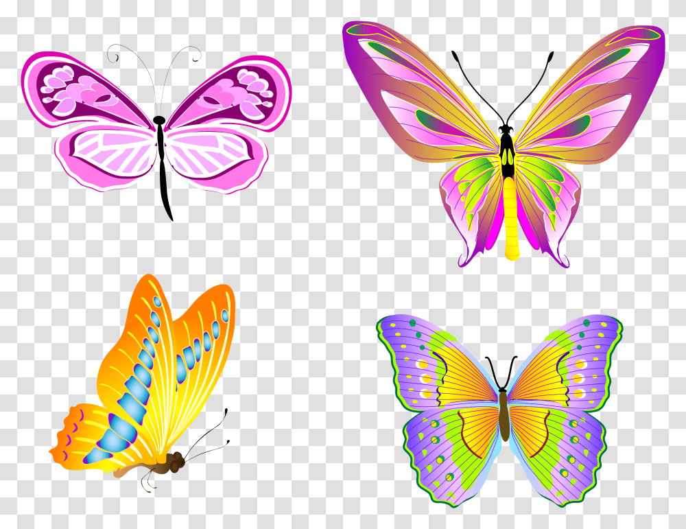 Butterfly, Pattern, Ornament Transparent Png