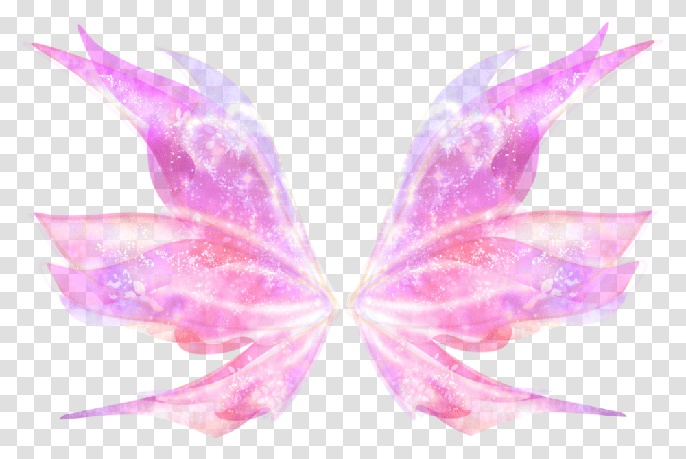 Butterfly, Petal, Flower, Plant, Purple Transparent Png