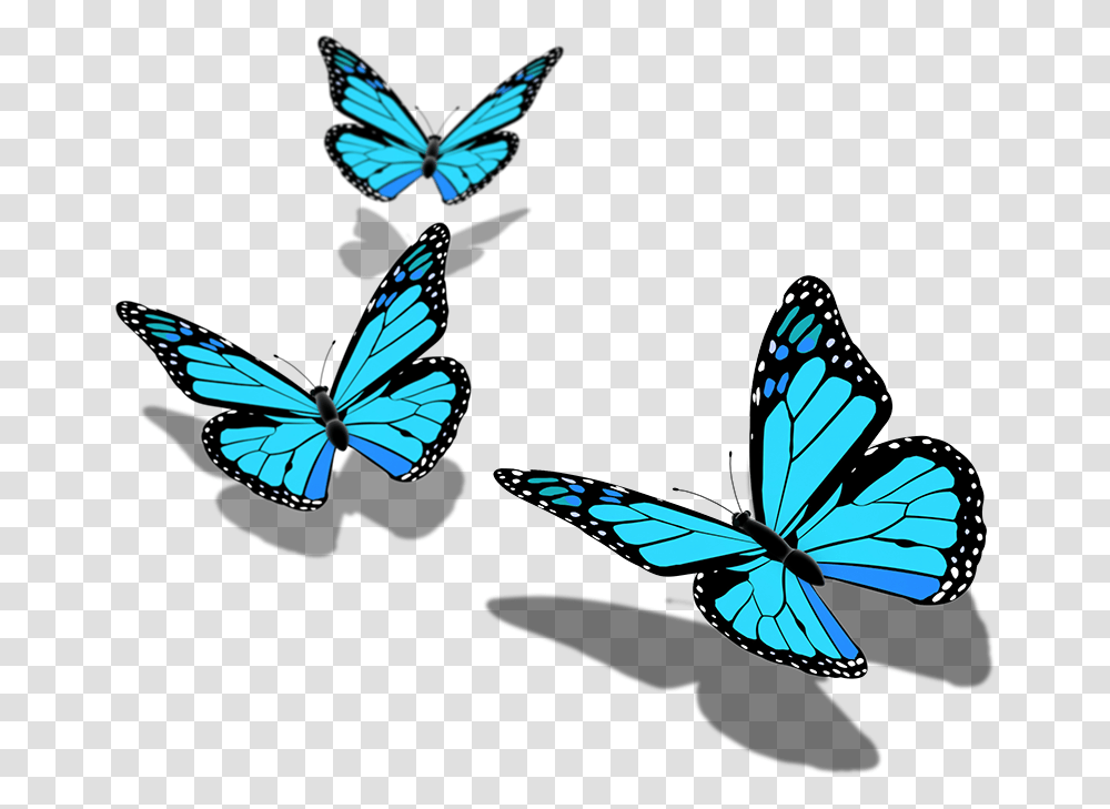 Butterfly Pic Hd Background Butterfly, Insect, Invertebrate, Animal, Monarch Transparent Png
