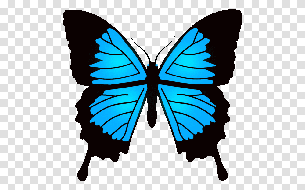 Butterfly Pics Animation Opengameart Org Preview Real Papilio Ulysses Butterfly, Pattern, Animal, Floral Design Transparent Png