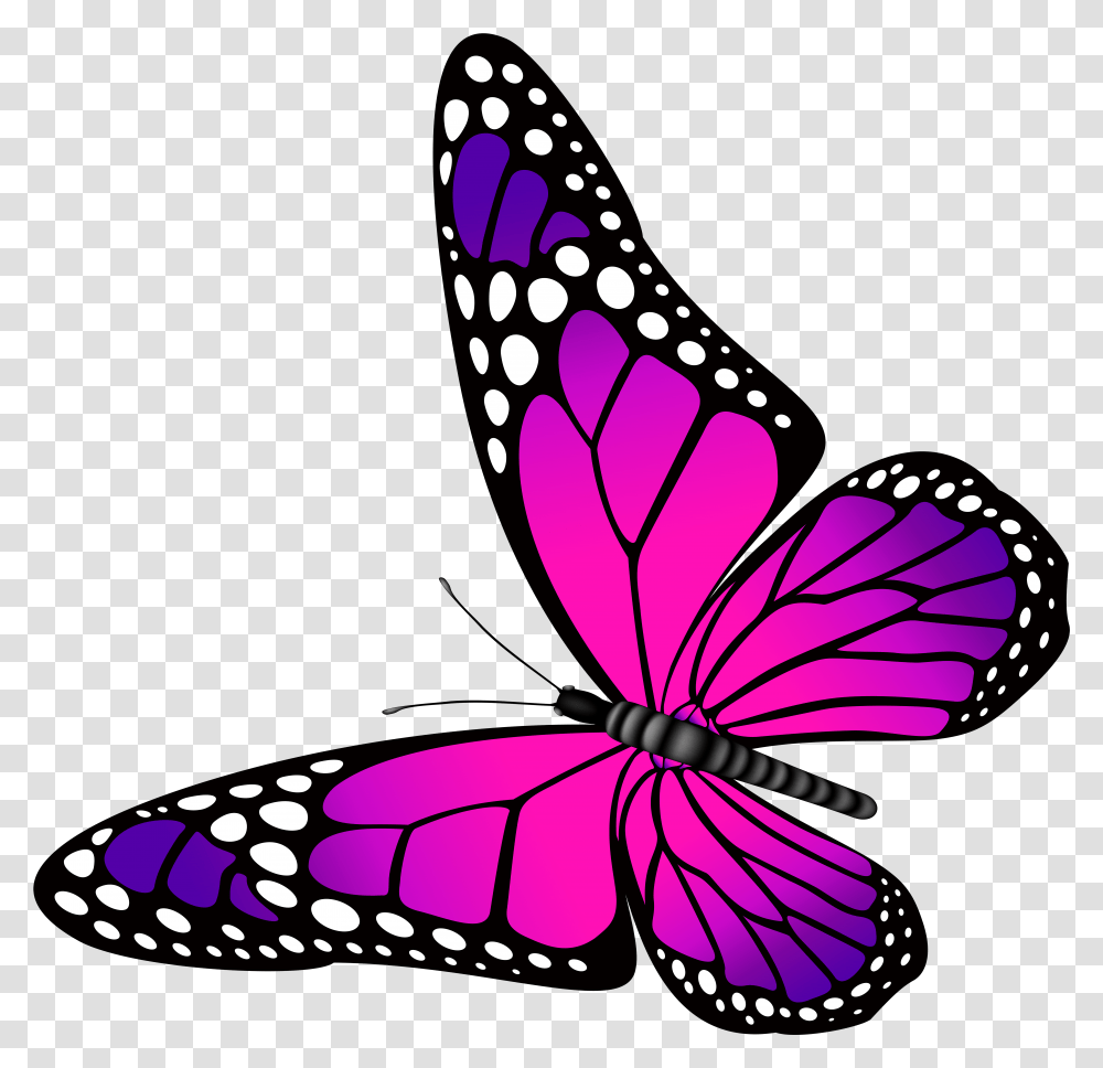 Butterfly Pink And Purple Pink And Purple Butterfly, Insect, Invertebrate, Animal, Graphics Transparent Png