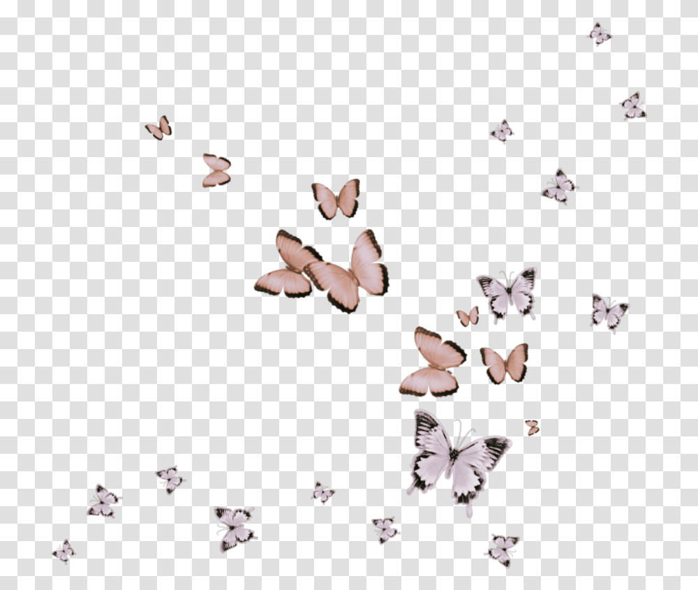 Butterfly Pink Flying Animals Skipper Butterfly, Invertebrate, Insect, Bird, Moth Transparent Png