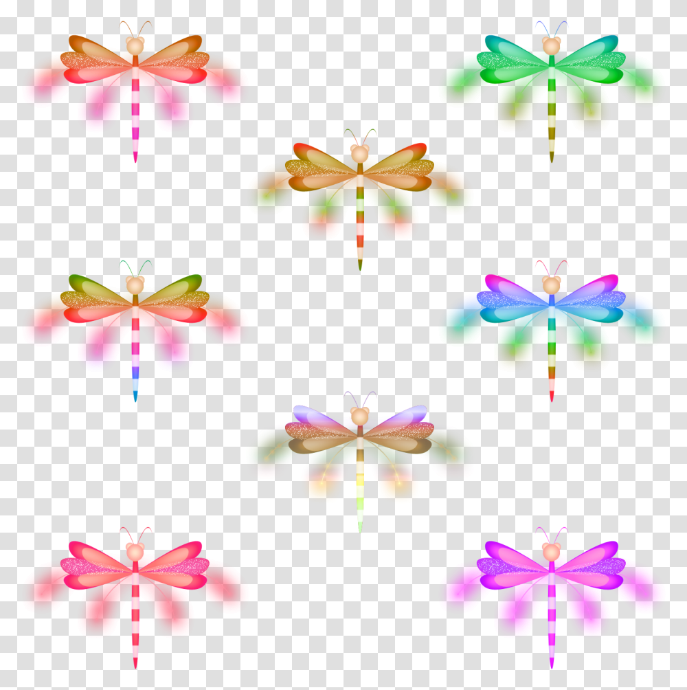 Butterfly, Plant, Flower, Blossom, Invertebrate Transparent Png