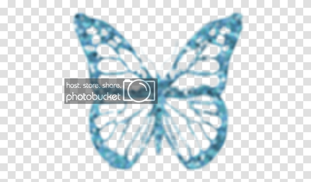 Butterfly, Plant, Food, Vegetable, Seed Transparent Png