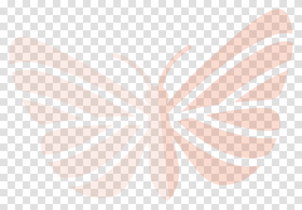 Butterfly, Plant, Leaf, Pattern, Anise Transparent Png