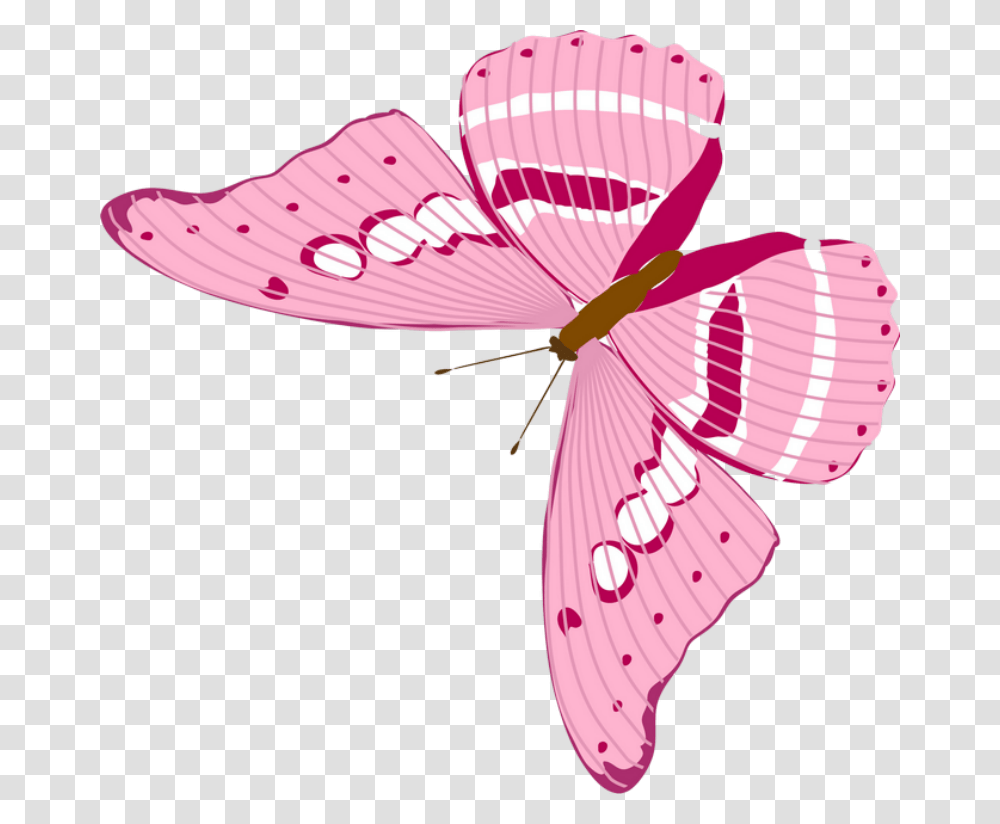 Butterfly, Plant, Petal, Flower, Blossom Transparent Png