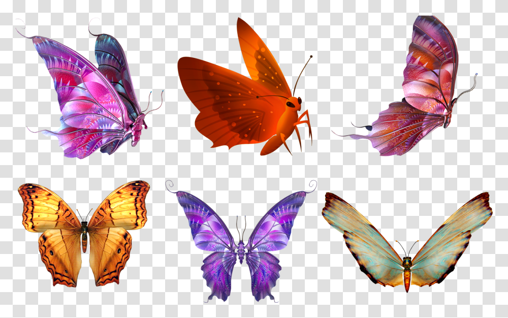 Butterfly Psd, Insect, Invertebrate, Animal, Bird Transparent Png