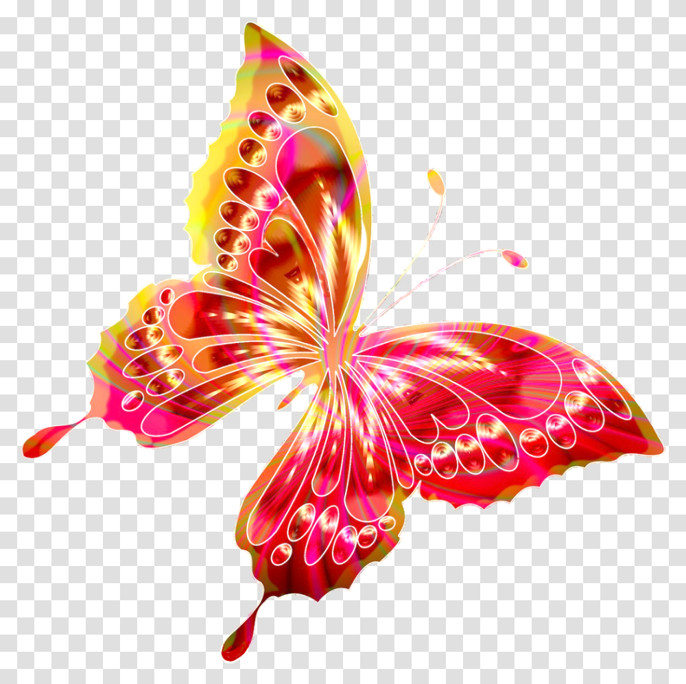 Butterfly Rainbow Bright Brightcolours Flutterby Illustration, Hibiscus, Flower, Plant, Blossom Transparent Png