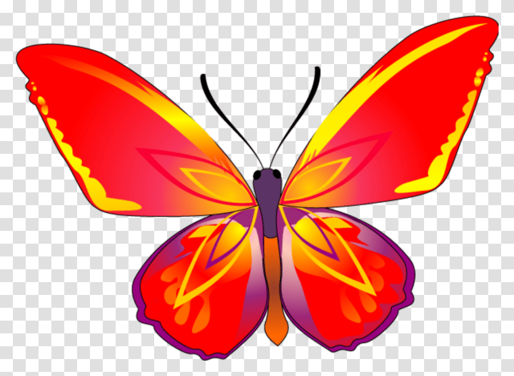 Butterfly Riodinidae, Ornament, Pattern, Fractal, Light Transparent Png