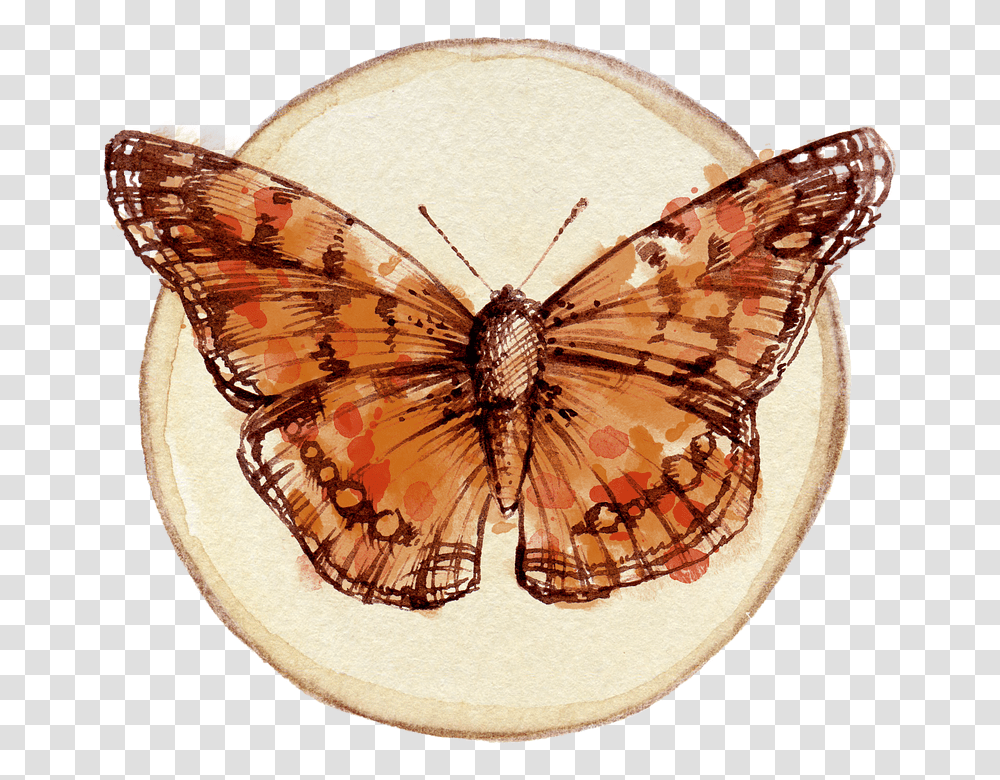 Butterfly Scrapbooking Embellishment Tag Watercolor, Insect, Invertebrate, Animal, Spider Transparent Png