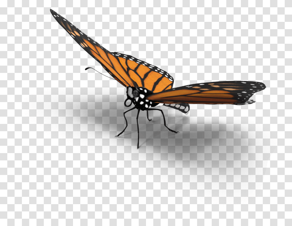 Butterfly Shadow 3d Interesting Freetoedit Butterfly With Shadow, Insect, Invertebrate, Animal, Airplane Transparent Png