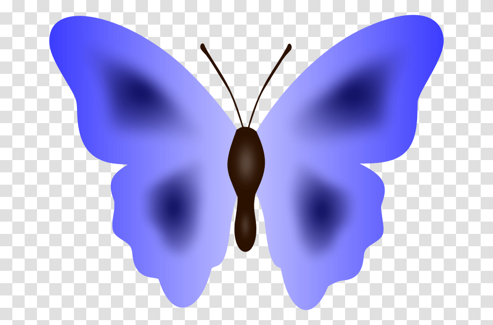 Butterfly Short Tailed Blue, Insect, Invertebrate, Animal, Balloon Transparent Png