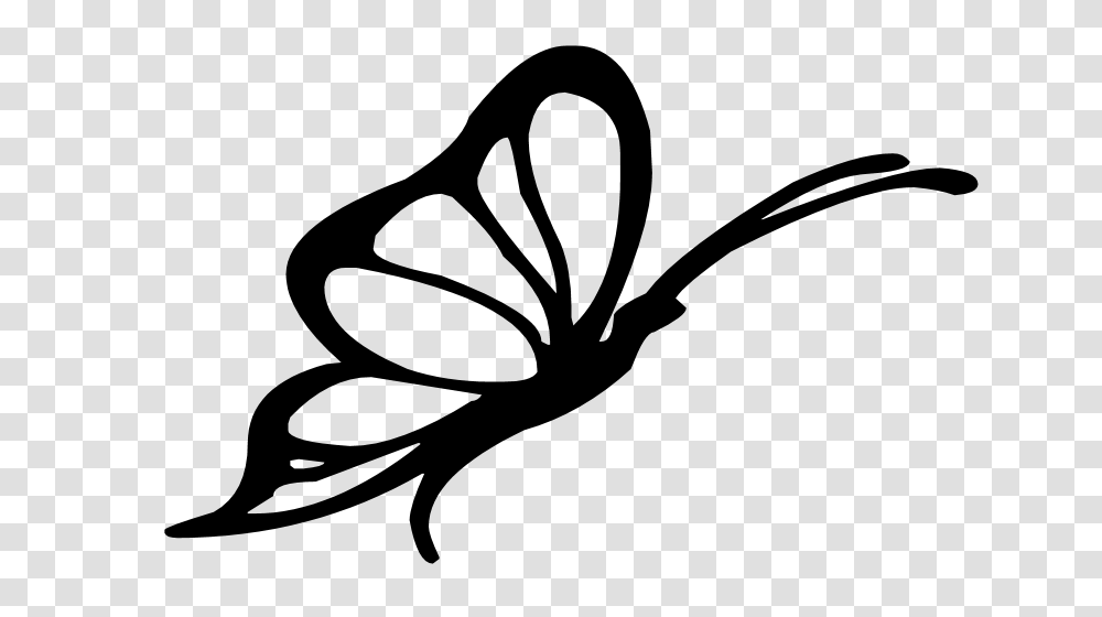 Butterfly Silhouette Clip Art Pics Photos, Gray, World Of Warcraft Transparent Png