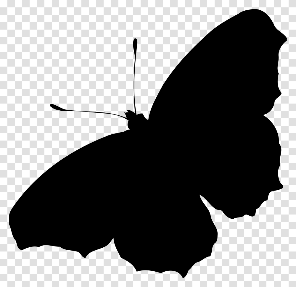 Butterfly Silhouette Clipart Butterfly Silhouette, Gray, World Of Warcraft Transparent Png