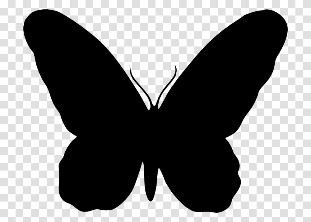 Butterfly Silhouette, Insect, Invertebrate, Animal, Stencil Transparent Png