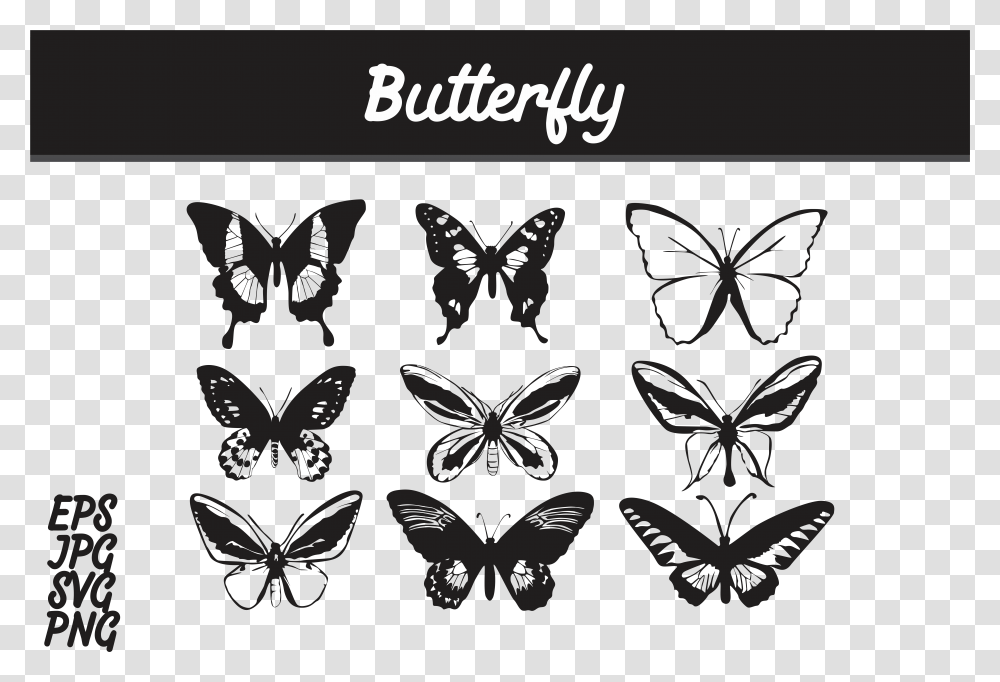 Butterfly Silhouette Set Svg Vector Image Bundle Graphic, Stencil, Animal Transparent Png