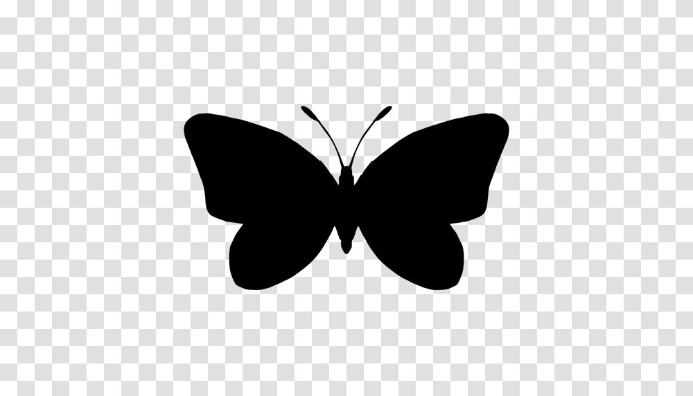 Butterfly Silhouette, Stencil, Insect, Invertebrate, Animal Transparent Png