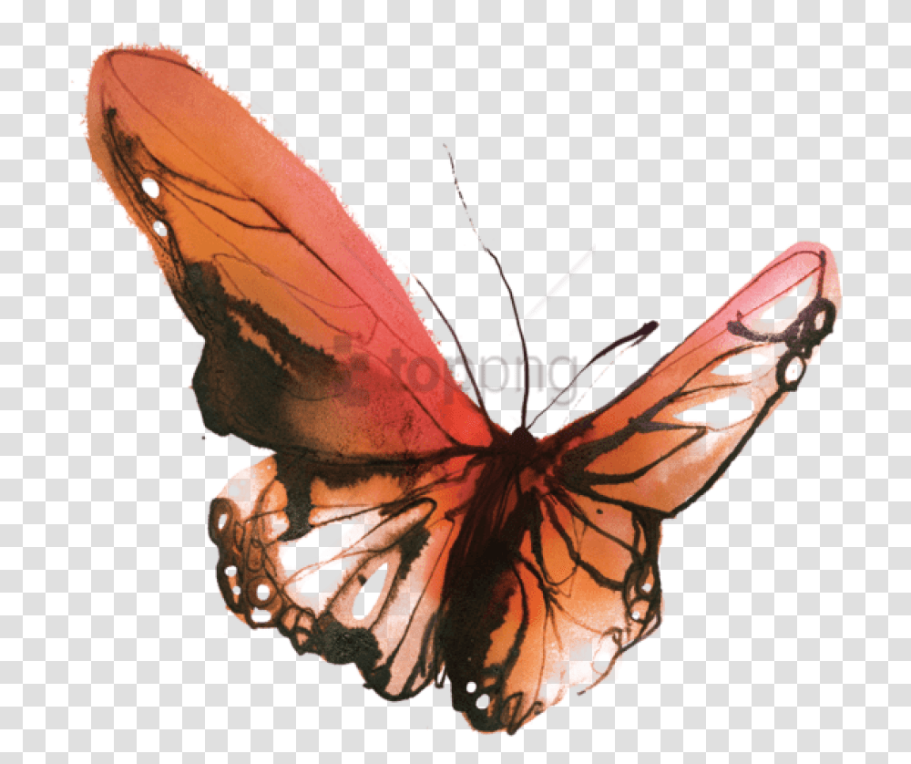 Butterfly Small Watercolor Butterfly Tattoo, Leaf, Plant, Insect, Invertebrate Transparent Png