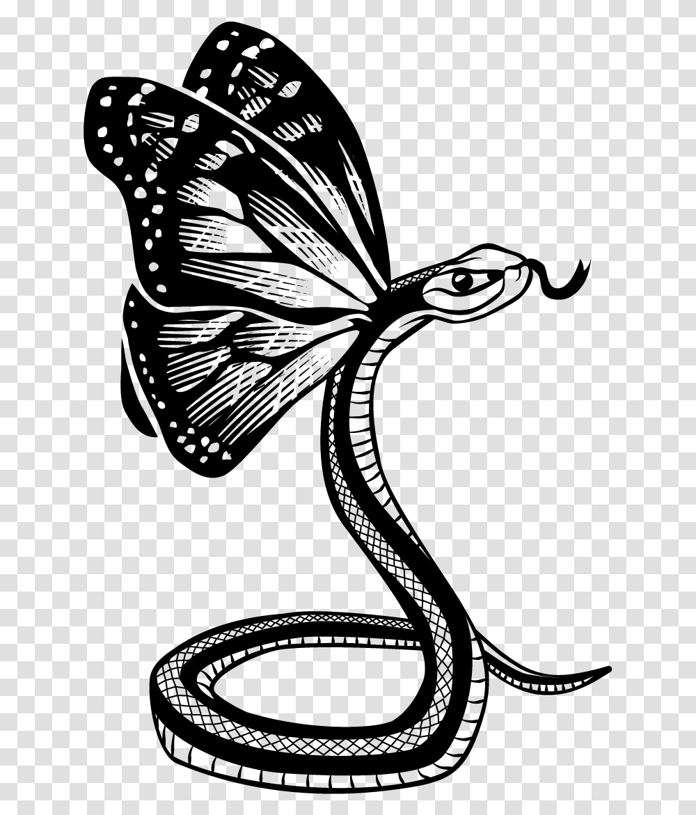 Butterfly Snake Final Brush Footed Butterfly, Gray, Outdoors, Nature, World Of Warcraft Transparent Png