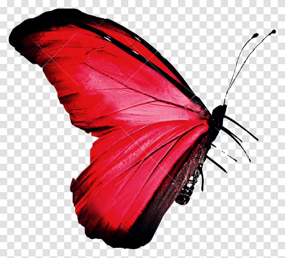 Butterfly Stickers Pink Picsart Freetoedit Small Bright Red Butterfly, Animal, Insect, Invertebrate, Leaf Transparent Png