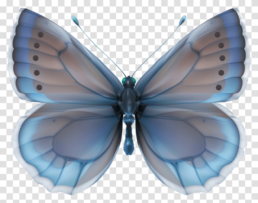 Butterfly Strass Transparent Png