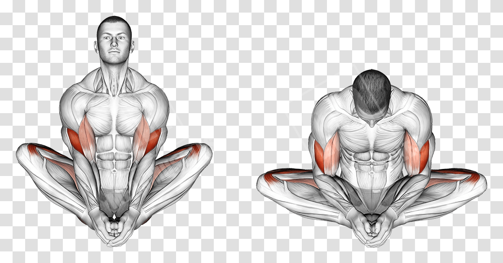 Butterfly Stretch Muscles Worked, Person, Judo, Martial Arts, Sport Transparent Png