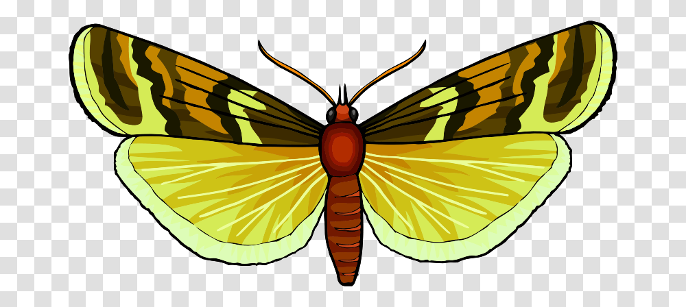 Butterfly Swallowtail Butterfly, Insect, Invertebrate, Animal, Termite Transparent Png