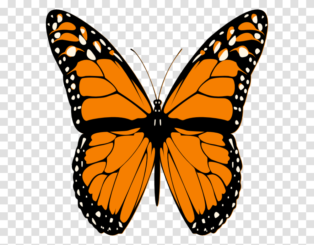 Butterfly Tattoo Butterfly Picture Butterfly Printable Monarch Butterfly Template, Insect, Invertebrate, Animal, Spider Transparent Png