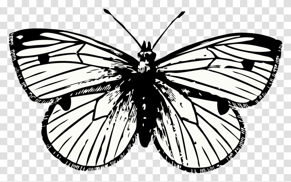Butterfly Tattoo Computer Icons Cabbage White Image Formats, Insect, Invertebrate, Animal, Bicycle Transparent Png
