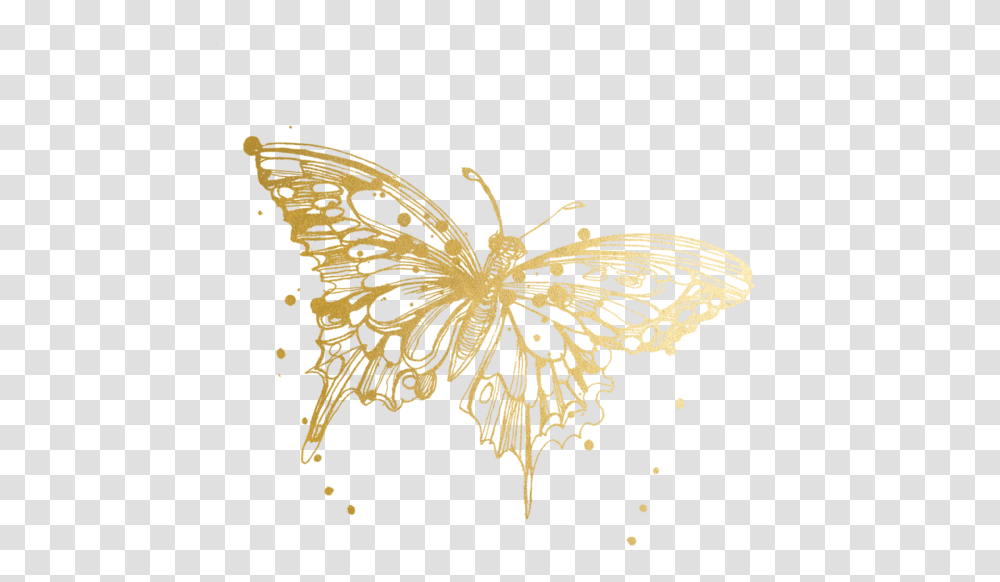 Butterfly Tattoos Temporary Accept Gold Butterfly, Plant, Art, Panther, Wildlife Transparent Png