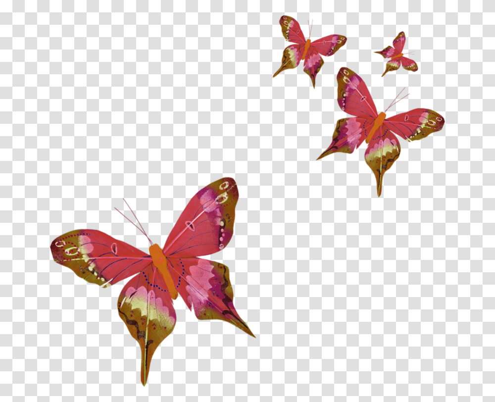 Butterfly Three Letter Acronym Butterfly Gif, Plant, Leaf, Flower, Blossom Transparent Png