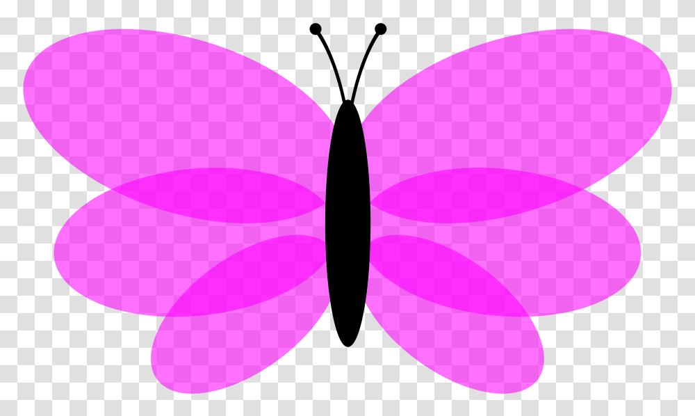 Butterfly, Tie, Accessories, Accessory, Necktie Transparent Png