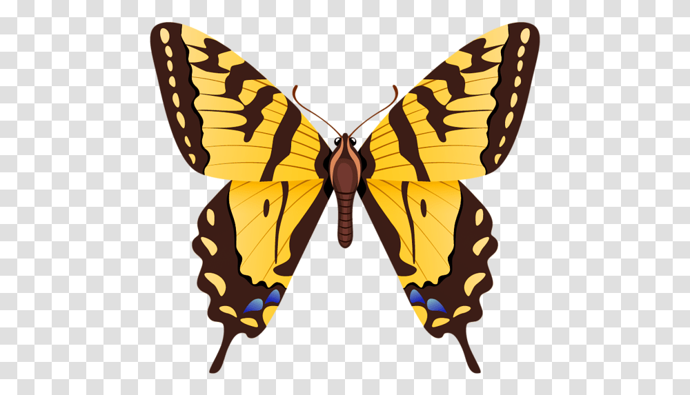 Butterfly Tiger Swallowtail, Insect, Invertebrate, Animal, Moth Transparent Png