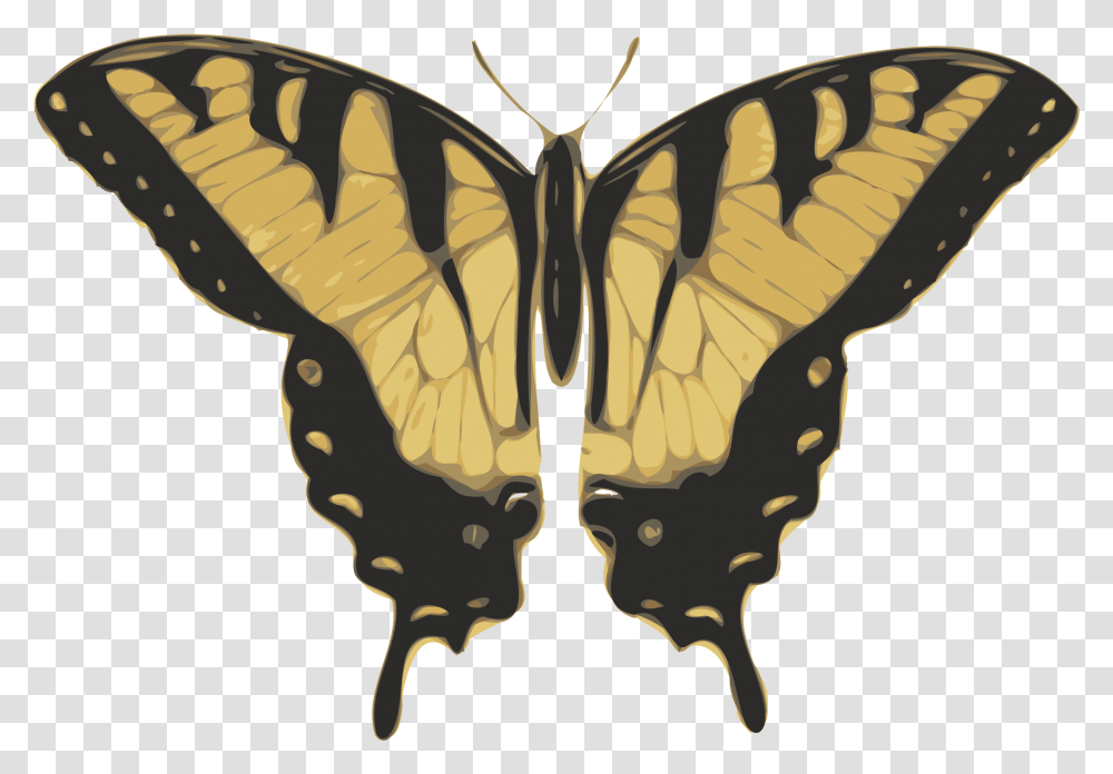 Butterfly Top View Clip Arts Tiger Swallowtail Butterfly, Insect, Invertebrate, Animal, Moth Transparent Png