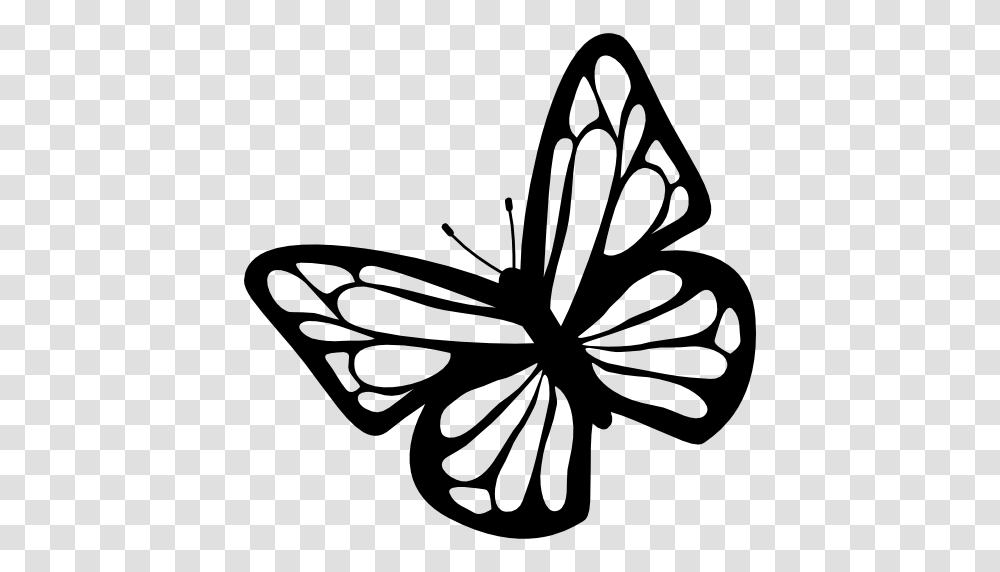 Butterfly Top View, Hibiscus, Flower, Plant, Blossom Transparent Png